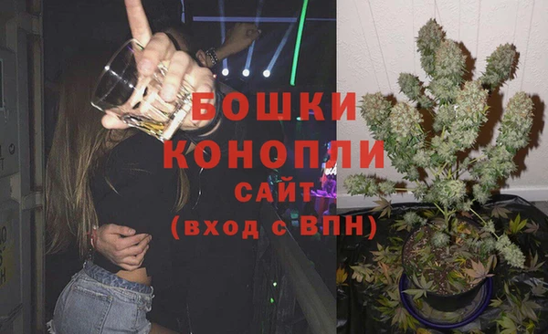 молекула духа Горняк