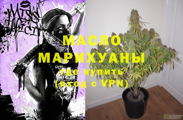 молекула духа Горняк