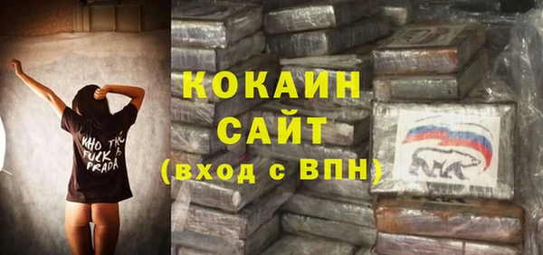 молекула духа Горняк
