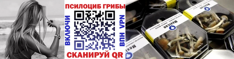 где найти наркотики  площадка какой сайт  Галлюциногенные грибы Psilocybine cubensis  Копейск 